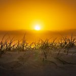 hardlopen-bij-hoge-temperaturen