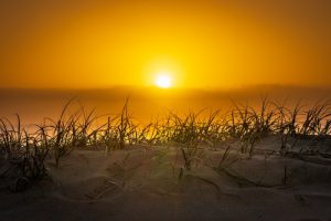 hardlopen-bij-hoge-temperaturen