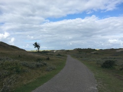 bergen aan zee