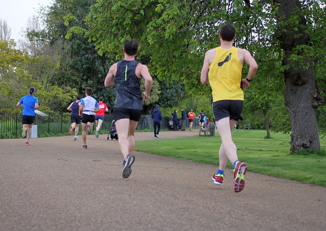 Hardlopers in het park