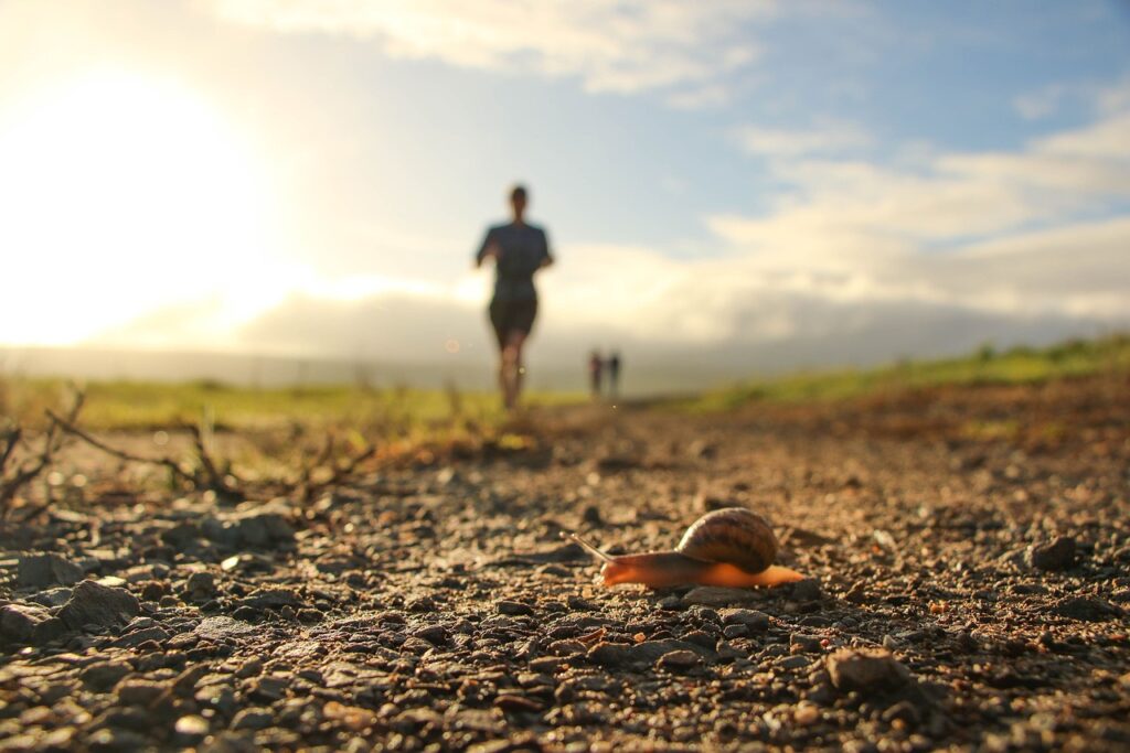 Trailrunnen - offroad avontuur
