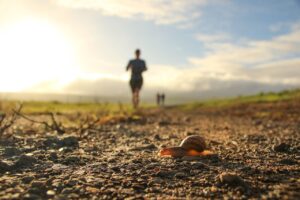 Ontdek trailrunnen: avontuur & fitness in de natuur