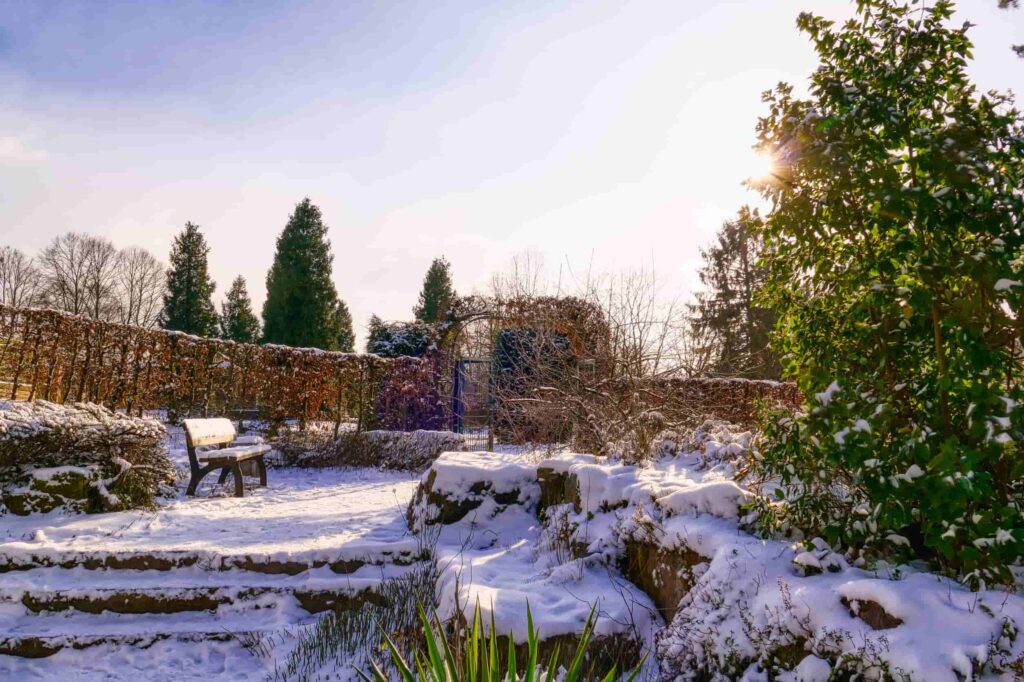 Park in de winter